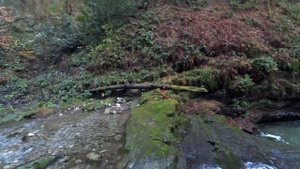 По водопадам Сочи. Водопады Сванидзе.