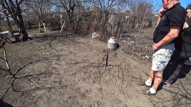 Мама с Витей приехали к нам в деревню! Посадка деревьев, Готовим мангал смотреть онлайн