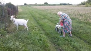 Доброе дело не ожидал его встретить на улице ! Судьба человека / Слово пацана / Вася на сене
