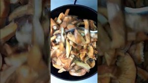 ? Рыжики в сметане! Как пожарить рыжики в сметане? Грибы - это почти мясо!?