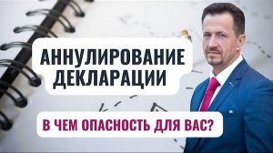 Аннулирование и обнуление налоговой декларации: в чем разница? #Cапелкин