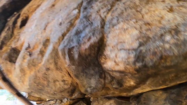 Скальник Гепард. Скалолазание на Олхинских скальниках.