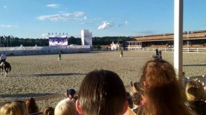 Художественная парная езда с элементами выездки