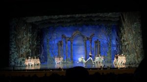 Кода па-де-труа «Лебединое озеро»