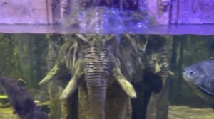 Влог с Турции// Кемер зимой// Akka Antedon Hotel//