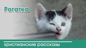 Детский христианский рассказ Рогатка