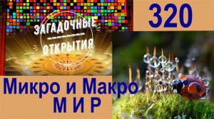 Микро и Макро МИР. З/О_320.