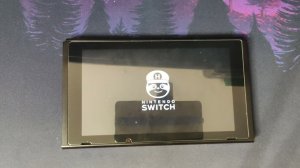 Picofly на Nintendo switch