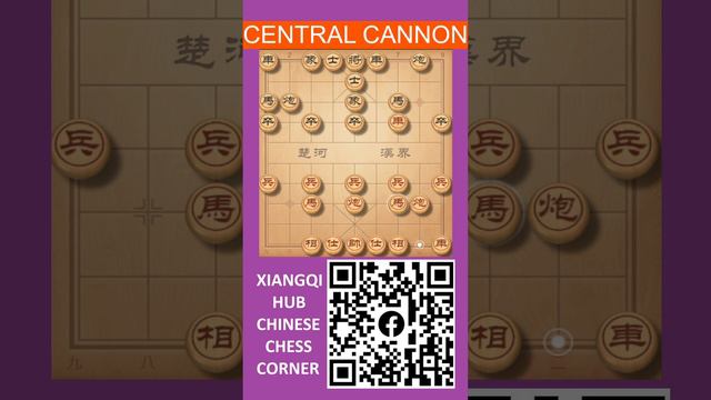 Central Cannon - Hub 1 - Shelf 1 - Book 3 - Match 1.1