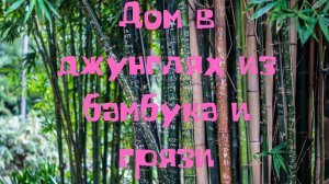 Дом в джунглях из бамбука и грязи.mp4