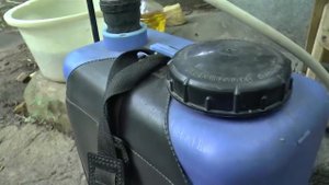 Как избавиться от тли на огороде