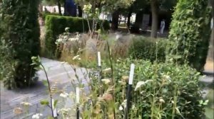 Сад-победитель фестиваля "Сады и люди"-2022