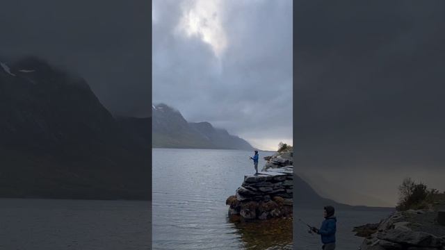 Fishing 🎣 in Norwegian fjords #arctic #norway #tromsø #fishing