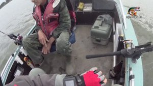 Рыбалка ТРОЛЛИНГОМ в Молчаново и всё о ТРОЛЛИНГЕ на Оби (23.08.2021)