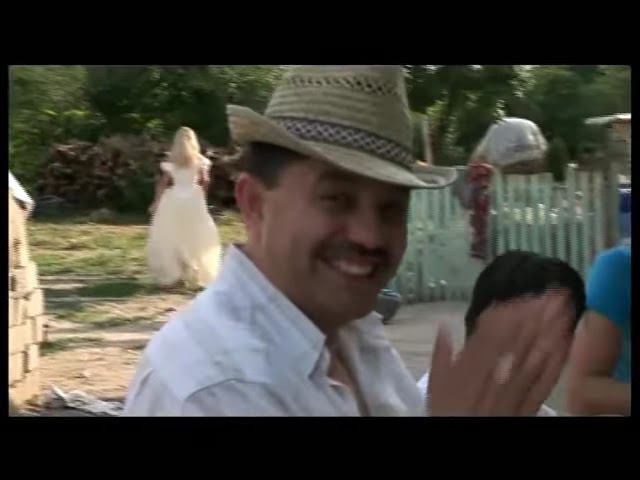 Nicolae Guta  - Gigolo