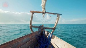Почему Саргассово море является самым опасным в мире