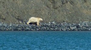 Смотря на океаны из космоса, иногда можно видеть области совершенно другого цвета.