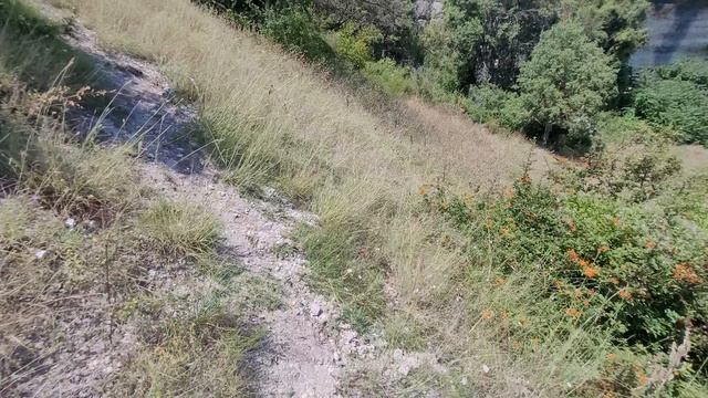 Грецкий орех АР.Крым( с.Красный-Мак) смотреть онлайн