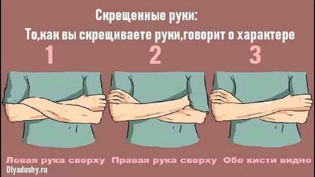 Жесты и телодвижения и их значение