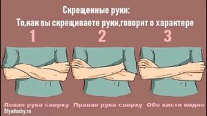 Жесты и телодвижения и их значение