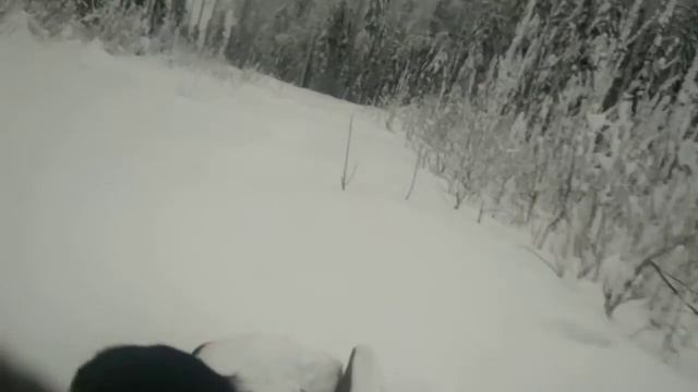 # МотоДог# толкач смотреть онлайн