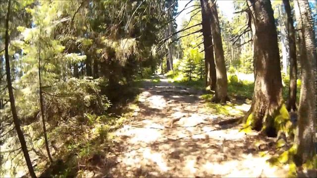 Allgäu Immenstadt Mountainbike Großer Alpsee Trails inkl. GPS by Hobby-Biker