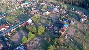 Кормовище в лучах вечернего солнца