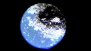 Реакции под микроскопом. 1. Магний и нитрат серебра (х50)