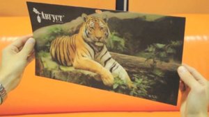 Lenticular 3d Print - Лентикулярная 3D-печать