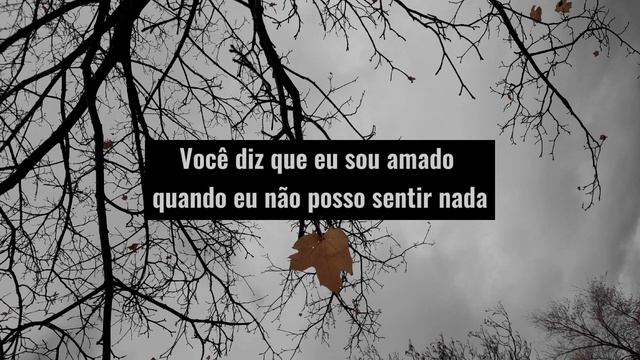 You Say - Lauren Daigle | Tradução em Português смотреть онлайн