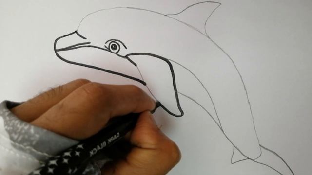 How to draw dolphin fish | как рисовать дельфинов