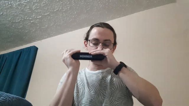 The Wellerman - Chromatic Harmonica Jam
