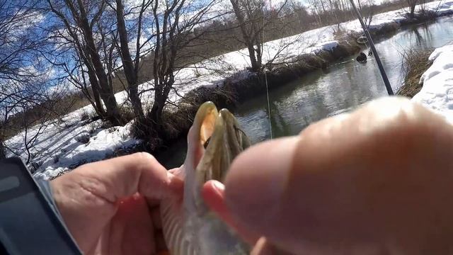 Да СКОЛЬКО ЖЕ ЩУКИ в этой реке???!!! ТОП ЛУЧШИХ ПРИМАНОК на щуку смотреть онлайн