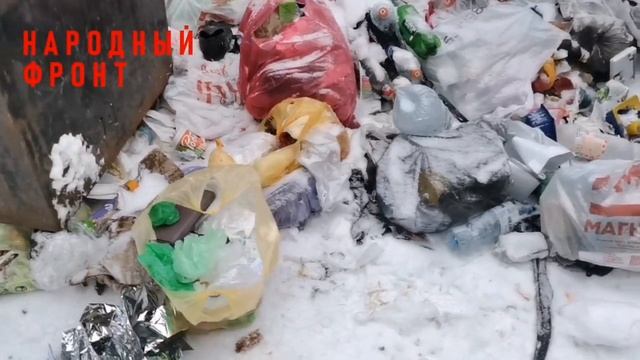 Ваша площадка ТКО похожа на зловонную помойку? Пришлите фото! смотреть онлайн