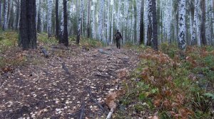 Гора Лешачья