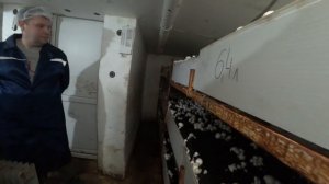 Бизнес В ДВУХЭТАЖНОМ Гараже. Выращивание Шампиньонов