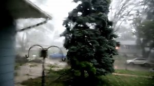 ВЕТЕР-БРОДЯГА