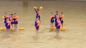 Турнир Самарской области по ЧИР спорту 09.11.2019