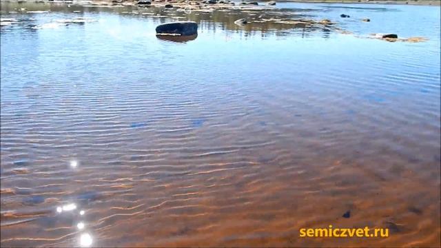 ??Белое море. Отлив
