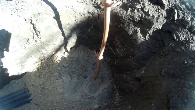 ? Необычная посадка саженца винограда. Устройство подземного полива винограда.