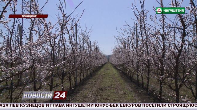 Привлечение инвестиций в АПК. смотреть онлайн