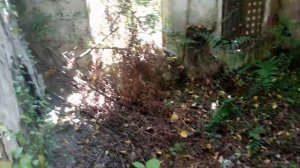 10 соток с разрушенным домом: с.Гумиста, Сухумский район