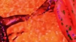 Аппарат для восстановления зрения очки Радуга Прозрения.