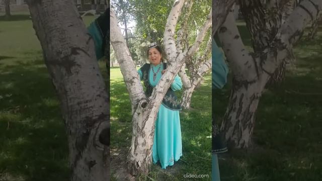 Татарская народная песня 