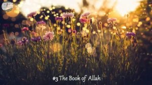 НАШИД ПРЕКРАСНЫЙ ГОЛОС