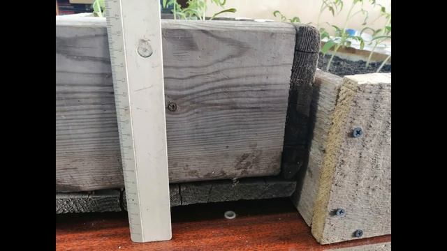 Объем грунта для рассады. Мой опыт пересаживания томатов смотреть онлайн