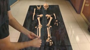 Каждые 12000 лет происходят катастрофы планетарного масштаба.