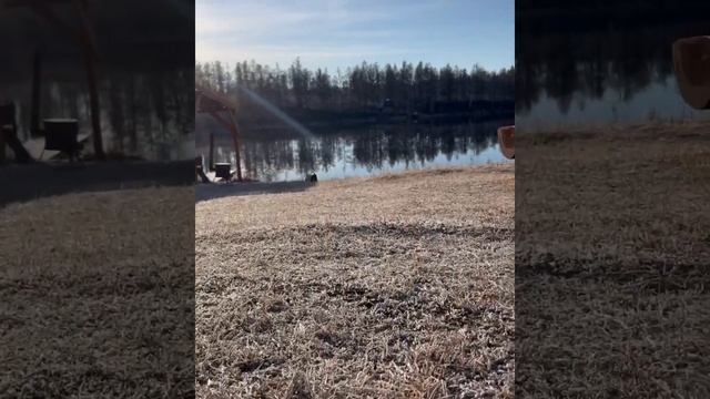 Кутанга, мараловая ферма. Наши выходные ☺️
