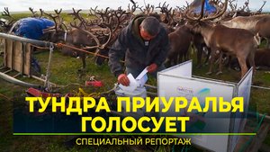 На вертолёте в Байдарацкую тундру для досрочного голосования