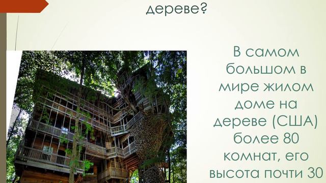 Поразительные факты из мира недвижимости смотреть онлайн